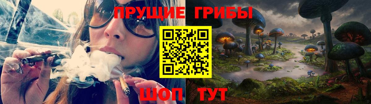 Галлюциногенные грибы Psilocybe  где найти   Киров  Вход с VPN 